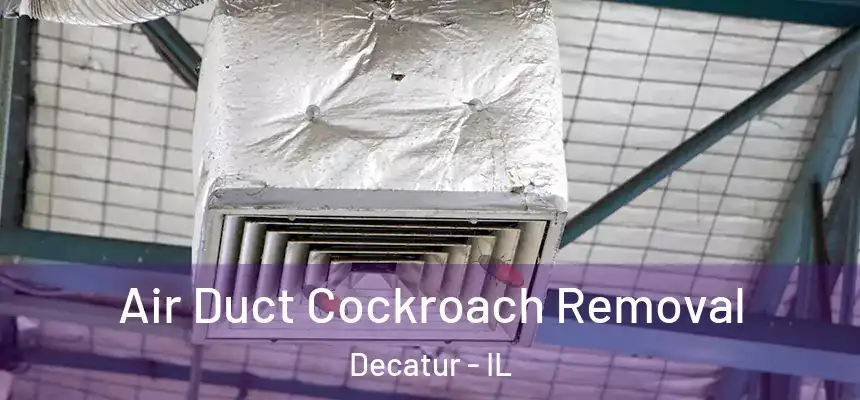 Air Duct Cockroach Removal Decatur - IL