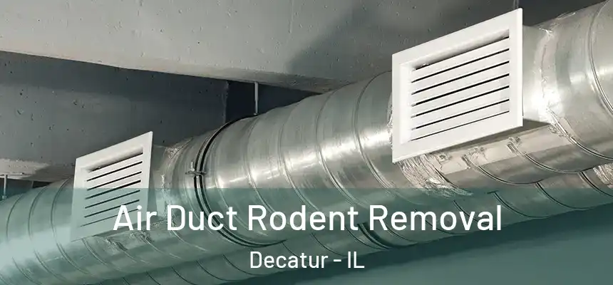 Air Duct Rodent Removal Decatur - IL