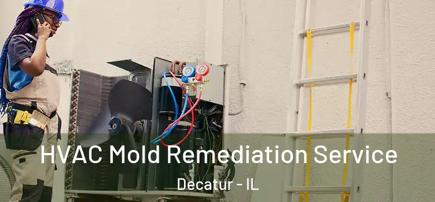 HVAC Mold Remediation Service Decatur - IL