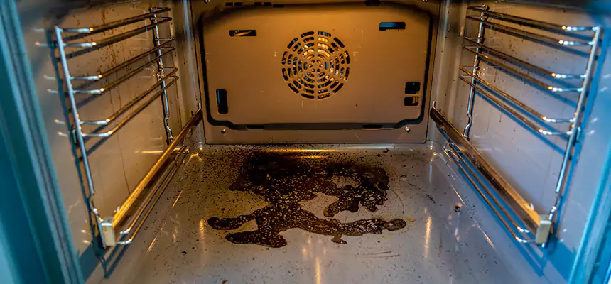 Our Dryer Vent Mold Cleaning Services in Decatur, IL