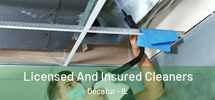 Licensed And Insured Cleaners Decatur - IL
