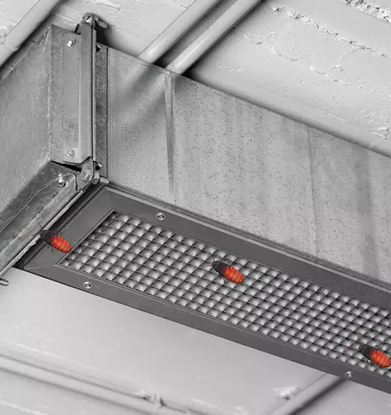 About Air Duct Cockroach Removal in Decatur, IL