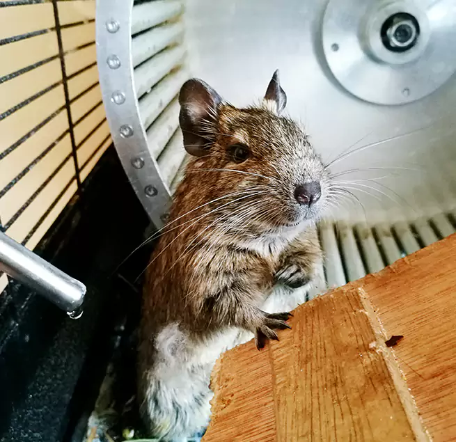 Why Homeowners & Businesses Trust Us Decatur, IL