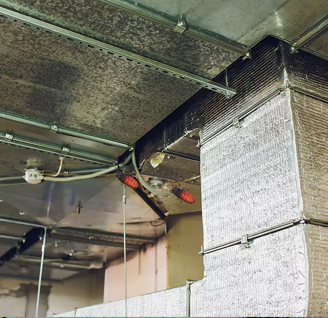 Why Homeowners & Businesses Trust Us Decatur, IL?