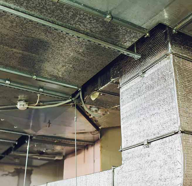 Why Homeowners & Businesses Trust Us in Decatur, IL?